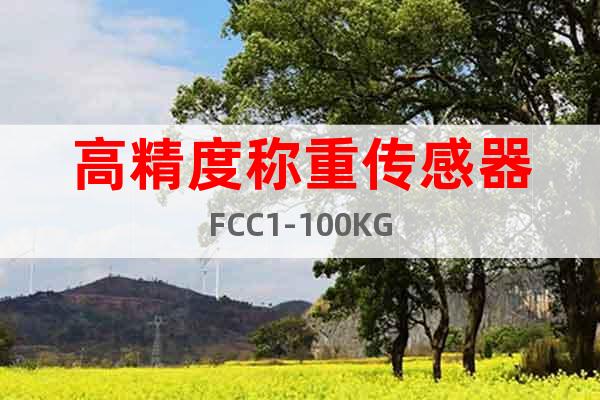 高精度称重传感器FCC1-100KG