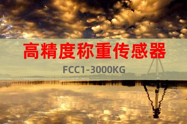 高精度称重传感器FCC1-3000KG