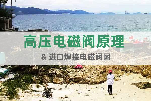 高壓電磁閥原理 & 進口焊接電磁閥圖