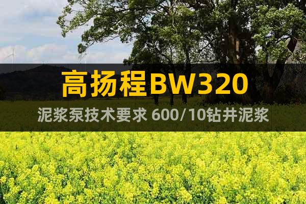 高扬程BW320泥浆泵技术要求 600/10钻井泥浆泵
