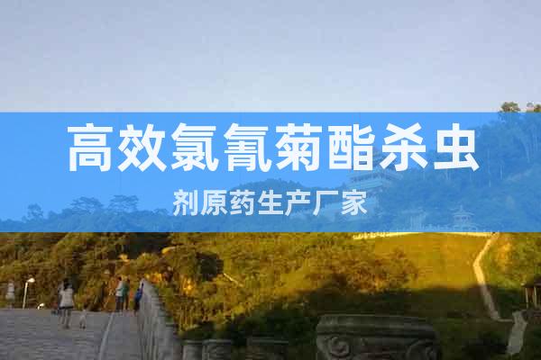 高效氯氰菊酯殺蟲劑原藥生產(chǎn)廠家