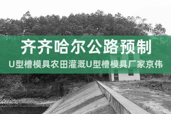 齊齊哈爾公路預(yù)制U型槽模具農(nóng)田灌溉U型槽模具廠家京偉模具