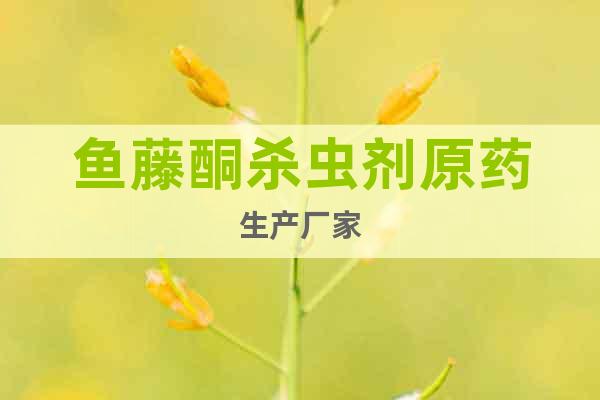 魚(yú)藤酮?dú)⑾x(chóng)劑原藥生產(chǎn)廠家