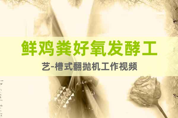 鮮雞糞好氧發(fā)酵工藝-槽式翻拋機(jī)工作視頻