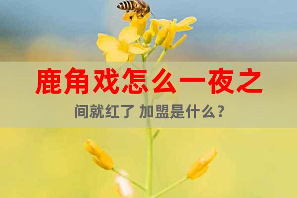 鹿角戲怎么一夜之間就紅了 加盟是什么？