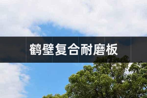 鶴壁復(fù)合耐磨板