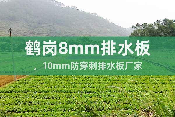 鶴崗8mm排水板，10mm防穿刺排水板廠家
