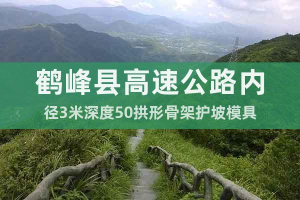 鹤峰县高速公路内径3米深度50拱形骨架护坡模具