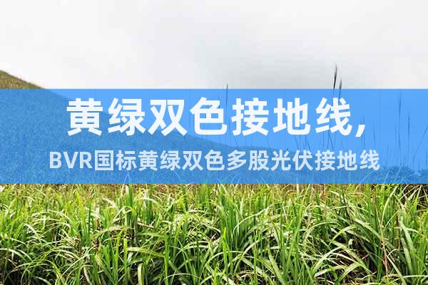 黃綠雙色接地線,BVR國(guó)標(biāo)黃綠雙色多股光伏接地線