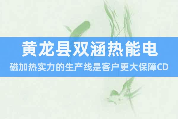 黃龍縣雙涵熱能電磁加熱實(shí)力的生產(chǎn)線是客戶(hù)更大保障CD11EP