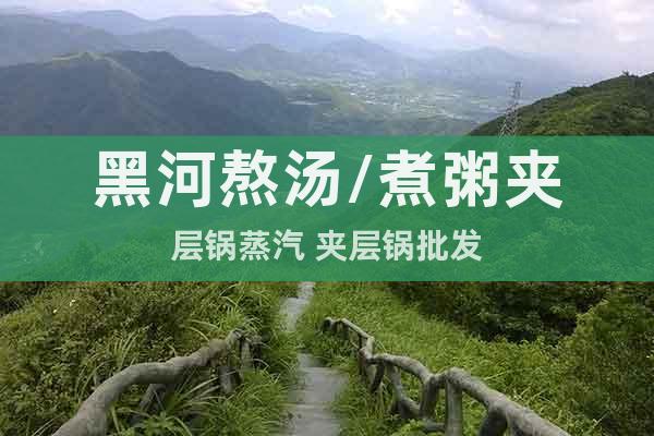 黑河熬湯/煮粥夾層鍋蒸汽 夾層鍋批發(fā)