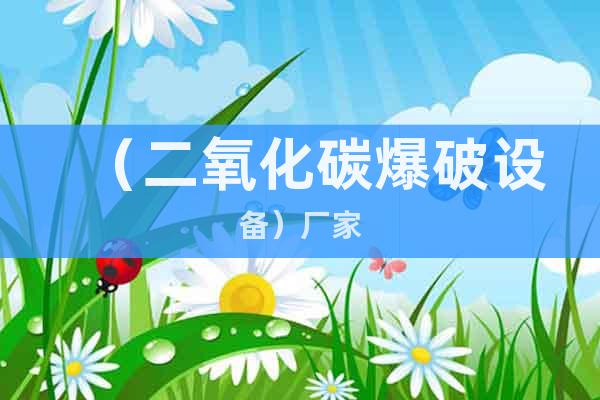 （二氧化碳爆破設(shè)備）@廠家
