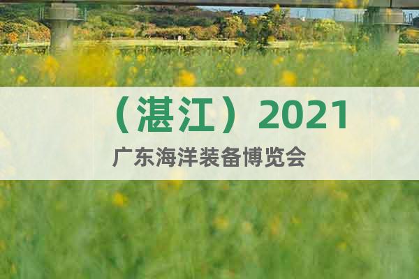 （湛江）2021广东海洋装备博览会