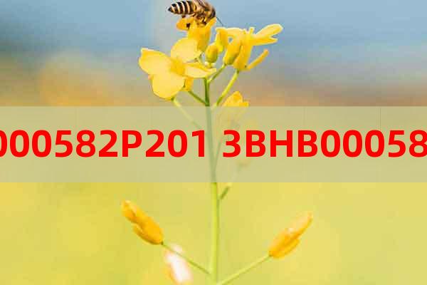 3BHB000582P201 3BHB000582P104