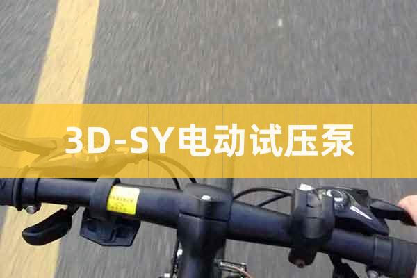 3D-SY電動試壓泵