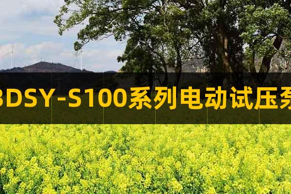 3DSY-S100系列電動試壓泵