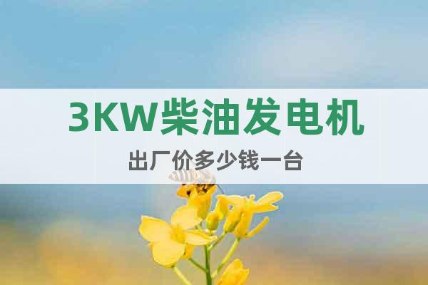 3KW柴油發(fā)電機(jī)出廠價(jià)多少錢一臺(tái)