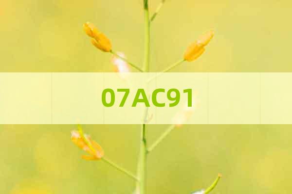 07AC91