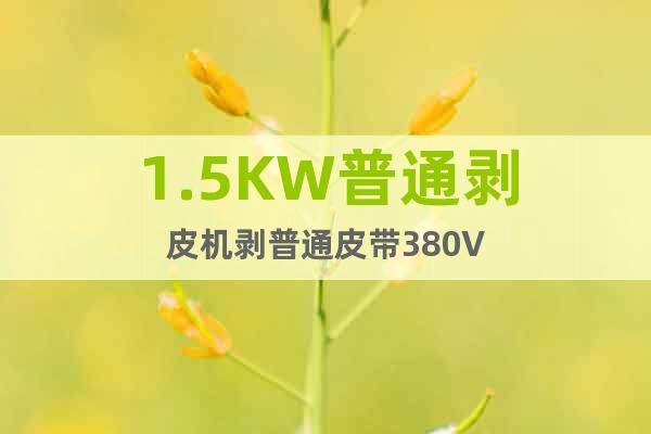 1.5KW普通剝皮機(jī)剝普通皮帶380V