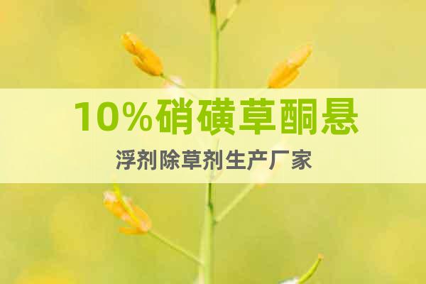 10%硝磺草酮懸浮劑除草劑生產(chǎn)廠家