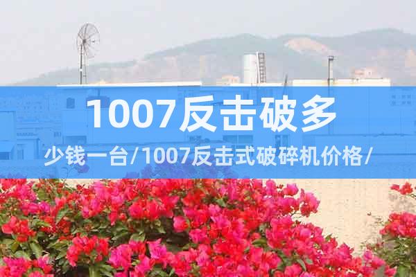 1007反擊破多少錢一臺/1007反擊式破碎機(jī)價(jià)格/廠家