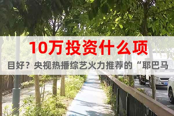 10萬投資什么項(xiàng)目好？央視熱播綜藝火力推薦的“耶巴馬黛茶”