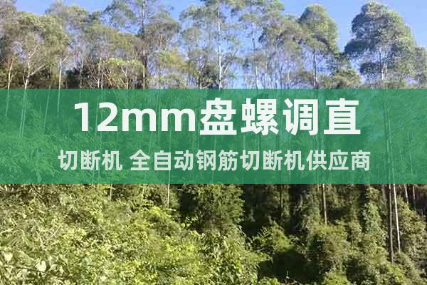 12mm盤螺調(diào)直切斷機(jī) 全自動(dòng)鋼筋切斷機(jī)供應(yīng)商