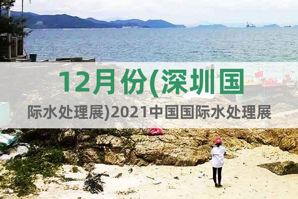 12月份(深圳國際水處理展)2021中國國際水處理展覽會(huì)