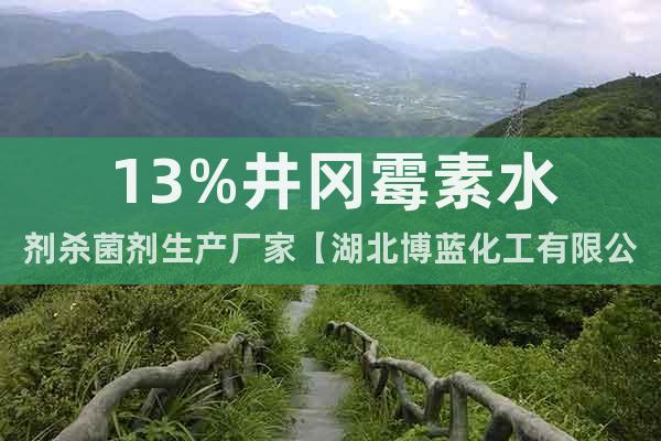 13%井岡霉素水劑殺菌劑生產(chǎn)廠家【湖北博藍(lán)化工有限公司】