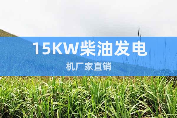 15KW柴油發(fā)電機(jī)廠家直銷