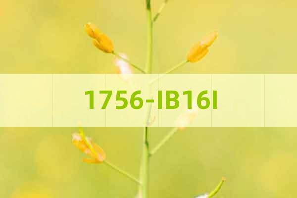 1756-IB16I