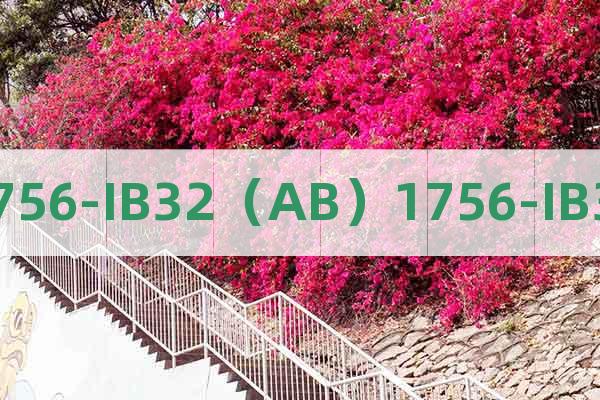 1756-IB32（AB）1756-IB32