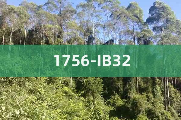 1756-IB32