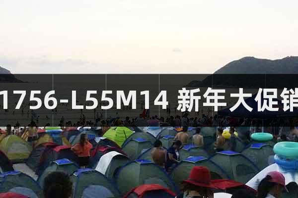 1756-L55M14 新年大促銷