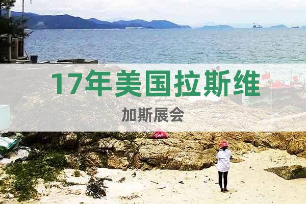 17年美國(guó)拉斯維加斯展會(huì)