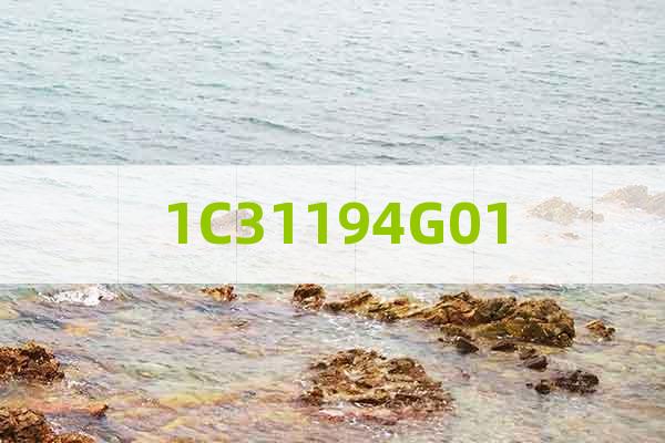 1C31194G01