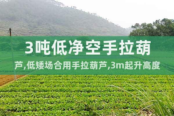 3噸低凈空手拉葫蘆,低矮場(chǎng)合用手拉葫蘆,3m起升高度可定制