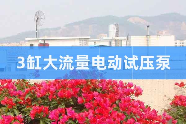 3缸大流量電動試壓泵