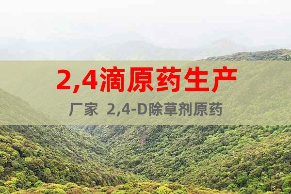 2,4滴原藥生產(chǎn)廠家  2,4-D除草劑原藥