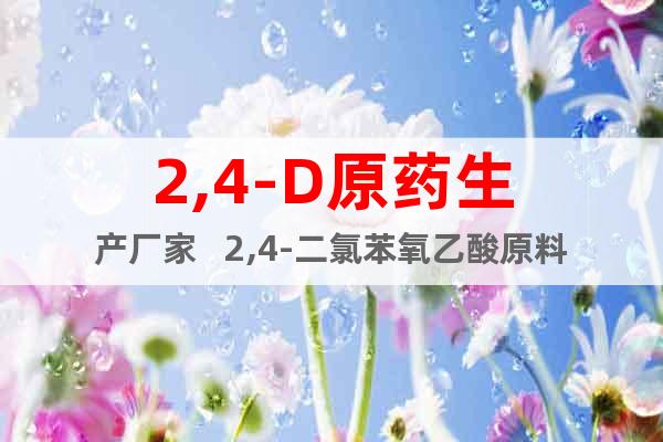 2,4-D原藥生產(chǎn)廠家   2,4-二氯苯氧乙酸原料