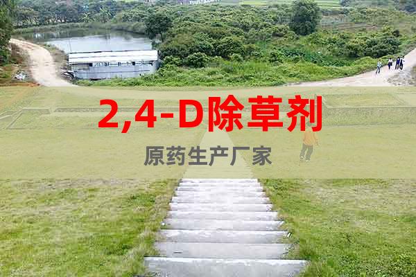 2,4-D除草劑原藥生產(chǎn)廠家