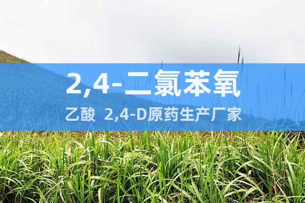 2,4-二氯苯氧乙酸  2,4-D原藥生產(chǎn)廠家