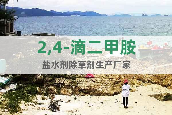 2,4-滴二甲胺鹽水劑除草劑生產(chǎn)廠家