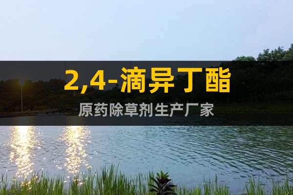 2,4-滴異丁酯原藥除草劑生產(chǎn)廠家