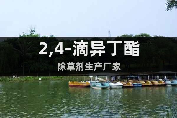 2,4-滴異丁酯除草劑生產(chǎn)廠家