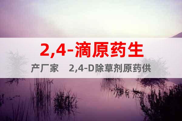 2,4-滴原藥生產(chǎn)廠家    2,4-D除草劑原藥供應(yīng)商