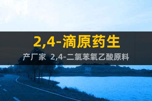 2,4-滴原藥生產(chǎn)廠家  2,4-二氯苯氧乙酸原料