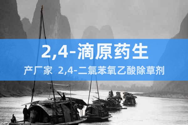 2,4-滴原藥生產(chǎn)廠家  2,4-二氯苯氧乙酸除草劑