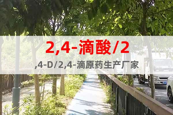 2,4-滴酸/2,4-D/2,4-滴原藥生產(chǎn)廠家