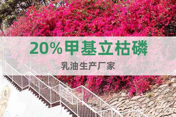20%甲基立枯磷乳油生產(chǎn)廠家【湖北博藍化工有限公司】